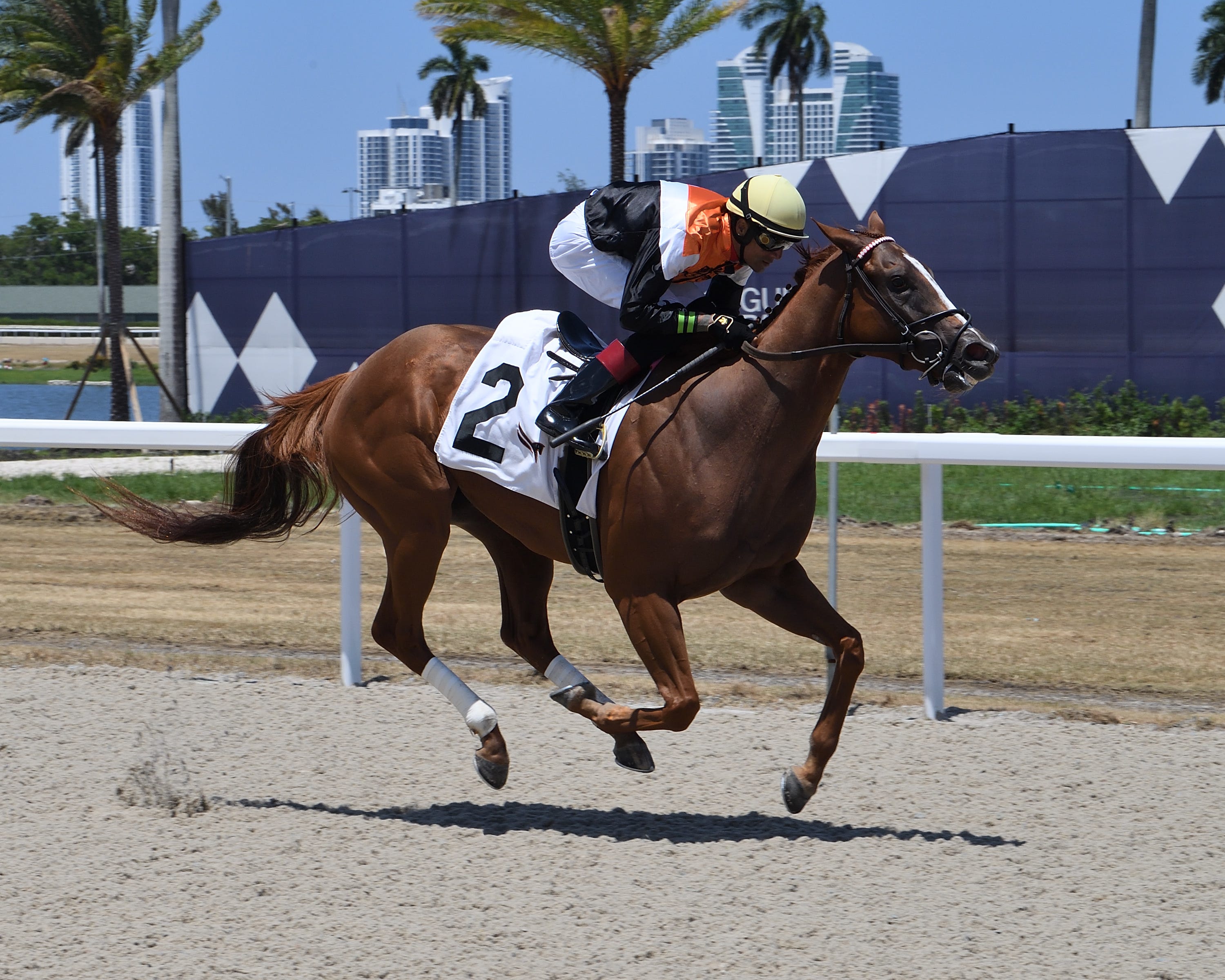 glen-hill-farm-to-have-small-stable-at-del-mar-with-eyes-on-graded-stakes